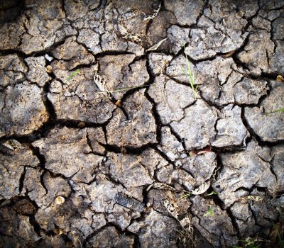 clay-close-up-cracks-daylight-216619